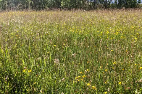 Goose Lake State Recreation Area
