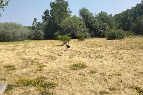 Goose Lake State Recreation Area