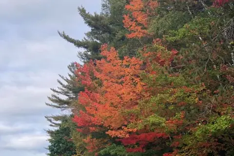 White Birches Camping Park