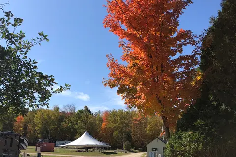 White Birches Camping Park