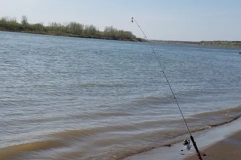 Doyle Memorial State Park