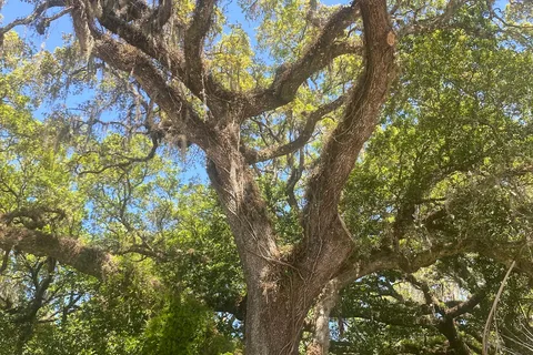 Big Oaks RV Resort