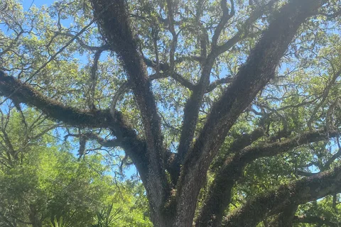 Big Oaks RV Resort