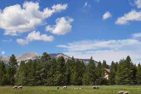 Smiley Creek Lodge