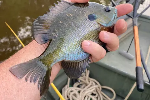 River Farms