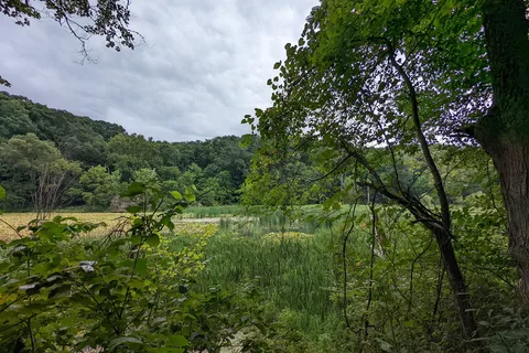 Main - Jefferson Lake State Park