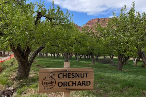Fruita Campground - Capitol Reef National Park