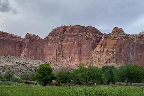 Fruita Campground - Capitol Reef National Park