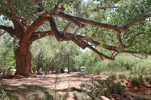 Fruita Campground - Capitol Reef National Park