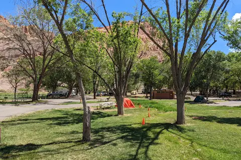 Fruita Campground - Capitol Reef National Park