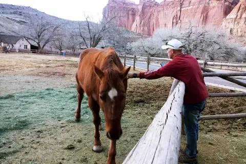 Fruita Campground - Capitol Reef National Park