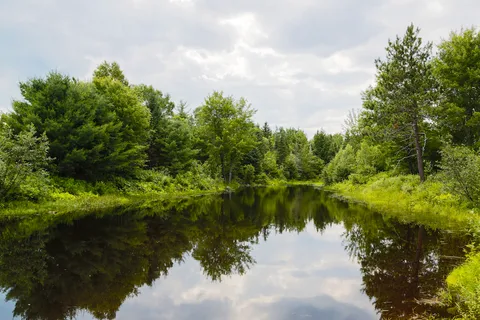 Patten Pond Camping Resort