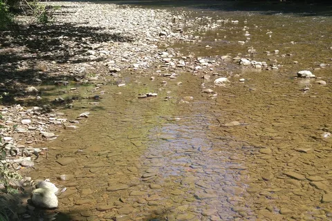 Oil Creek Family Campground