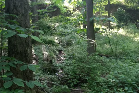 Oil Creek Family Campground