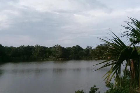 Bulow RV Resort