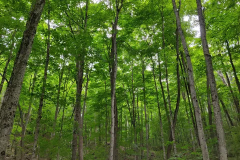 Sharbot Lake Provincial Park