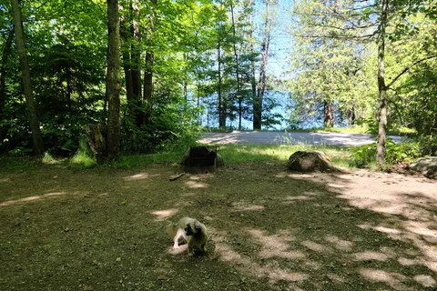 Sharbot Lake Provincial Park