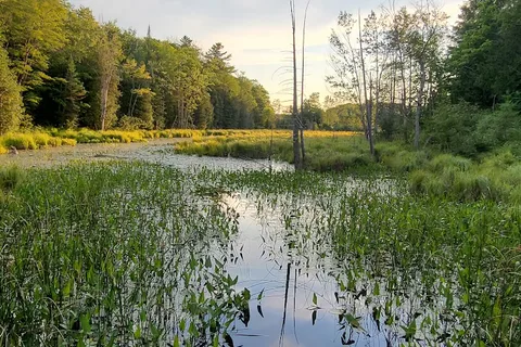 Sharbot Lake Provincial Park