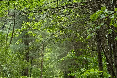 Dingmans Campground