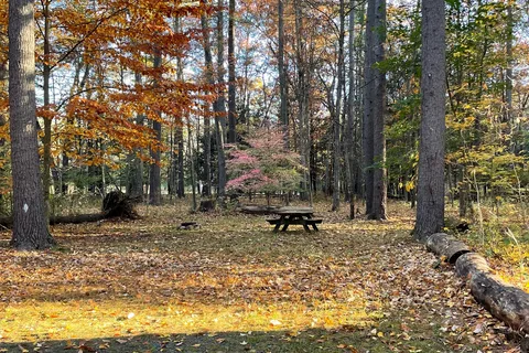 Dingmans Campground