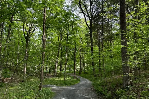Dingmans Campground