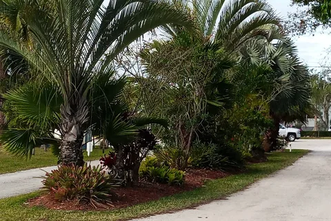 Tanglewood Village