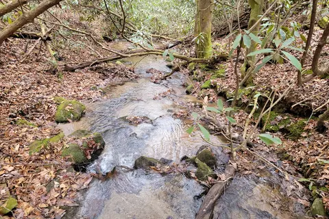 Black Rock Mountain State Park