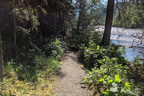 Lucerne - Mount Robson Provincial Park