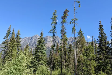Lucerne - Mount Robson Provincial Park