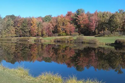 Kellystone Park Campsite