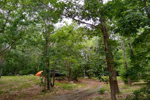 Cape Ann Camp Site