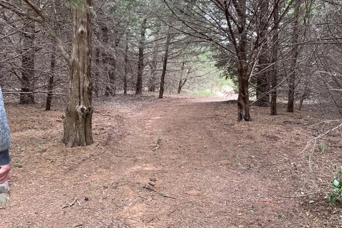 Blackjack Cove - Fort Cobb State Park
