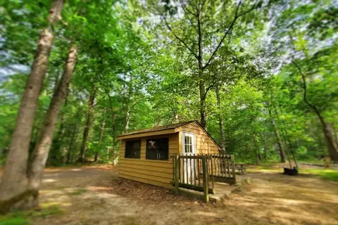 Belleplain State Forest