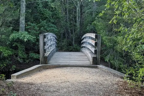 Belleplain State Forest