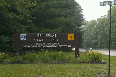 Belleplain State Forest