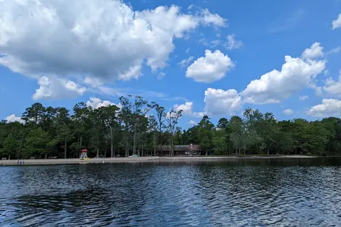 Belleplain State Forest