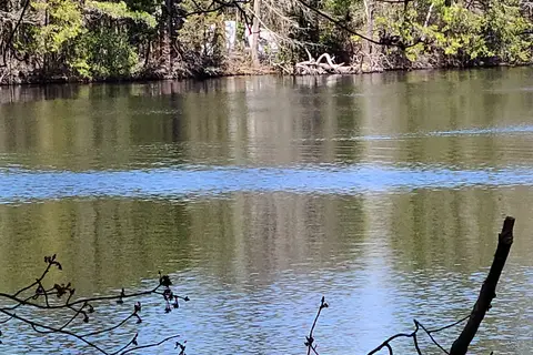 Belleplain State Forest
