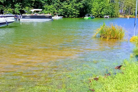 Tiger Cove Campground