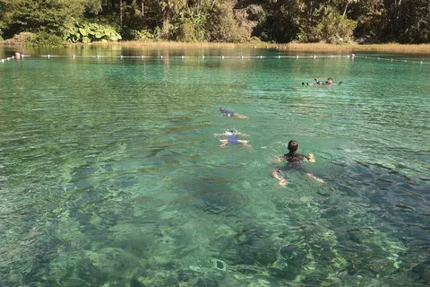 Rainbow Springs State Park
