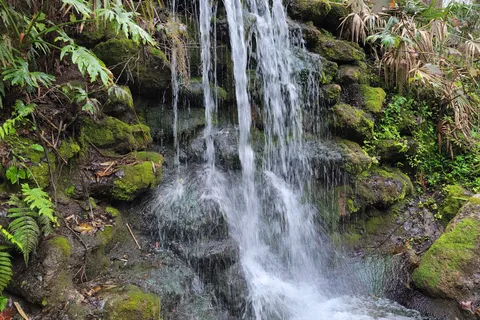 Rainbow Springs State Park