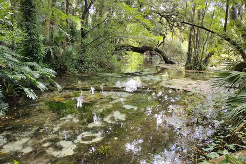 Rainbow Springs State Park
