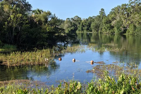 Rainbow Springs State Park