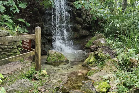 Rainbow Springs State Park