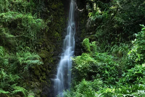 Rainbow Springs State Park