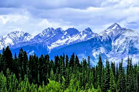 Mcleod Meadows Campground - Kootenay National Park