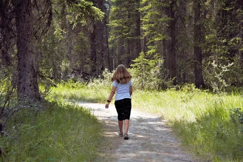 Mcleod Meadows Campground - Kootenay National Park
