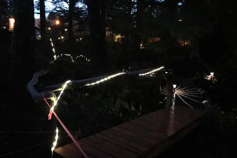 Wild Pacific Camp