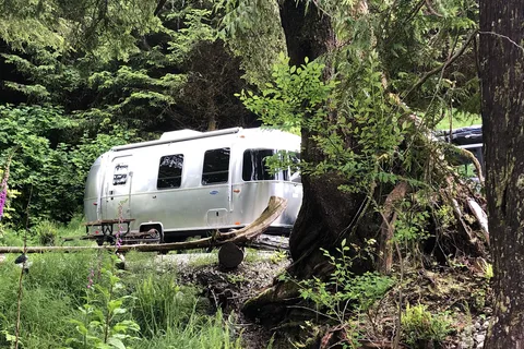 Wild Pacific Camp