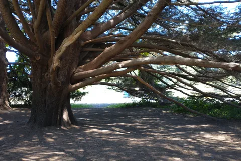 Casini Ranch Family Campground