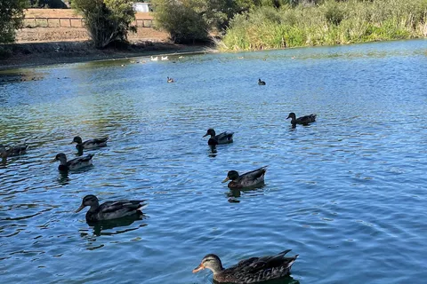 Casini Ranch Family Campground